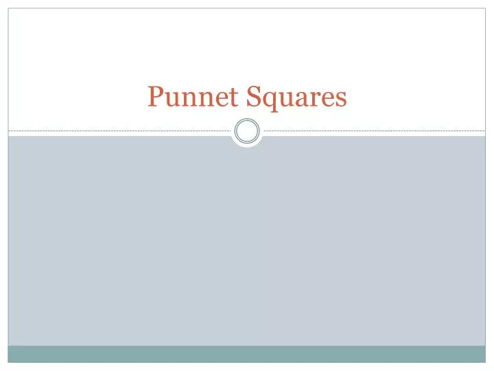 punnet squares