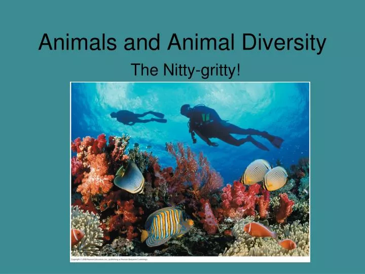 animals and animal diversity