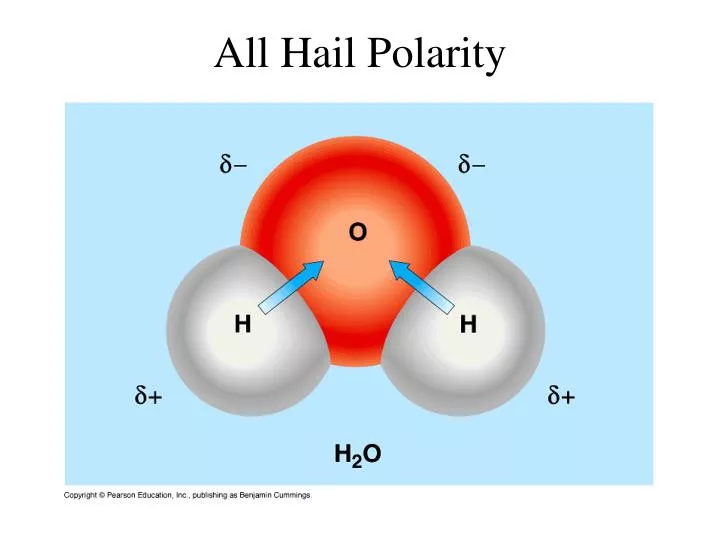all hail polarity
