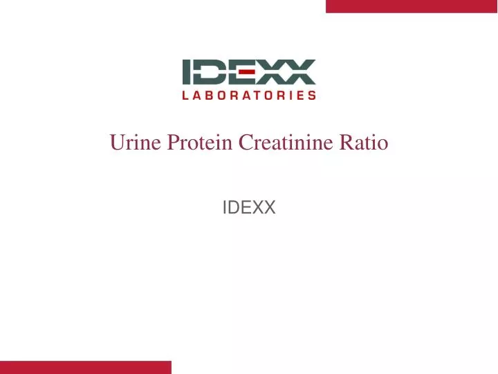 urine protein creatinine ratio