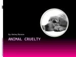 PPT - Animal Cruelty PowerPoint Presentation, free download - ID:2848219