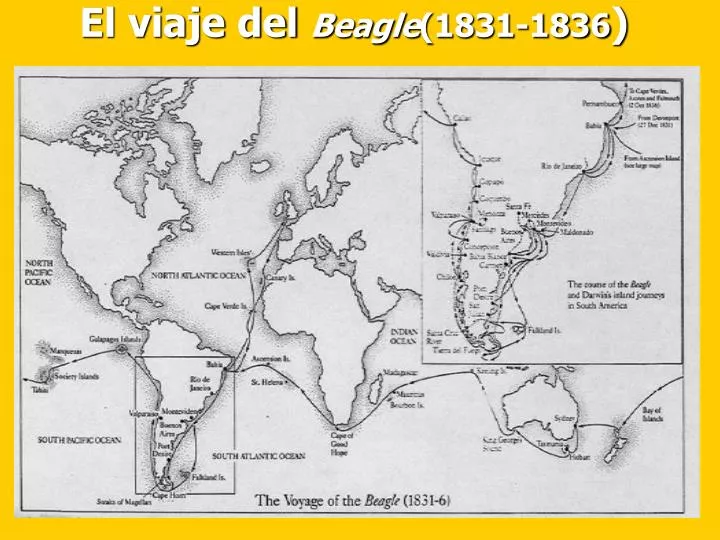 el viaje del beagle 1831 1836