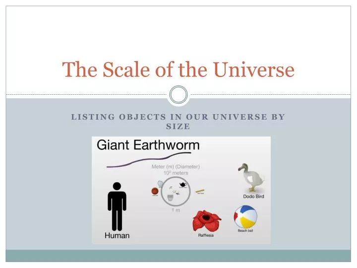 the scale of the universe