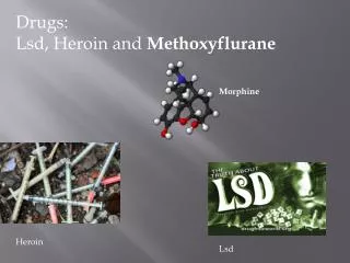 Drugs: Lsd , Heroin and Methoxyflurane