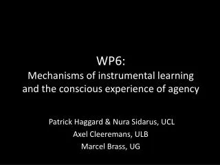 WP6: Mechanisms of instrumental learning and the conscious experience of agency