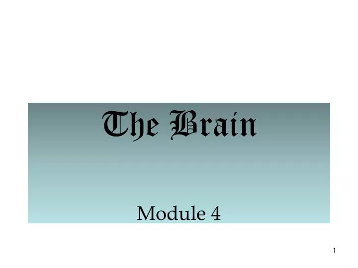 the brain module 4