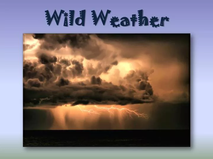 wild weather