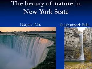 The beauty of nature in New York State