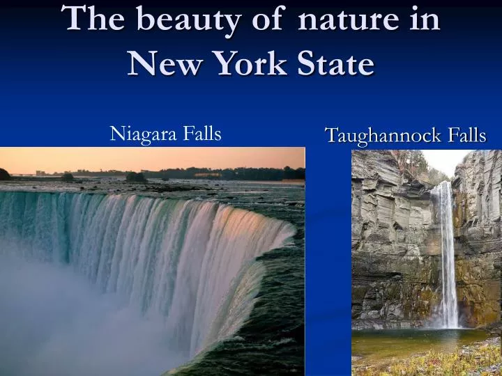 the beauty of nature in new york state