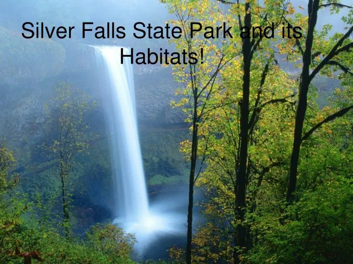 silver falls state park and its habitats