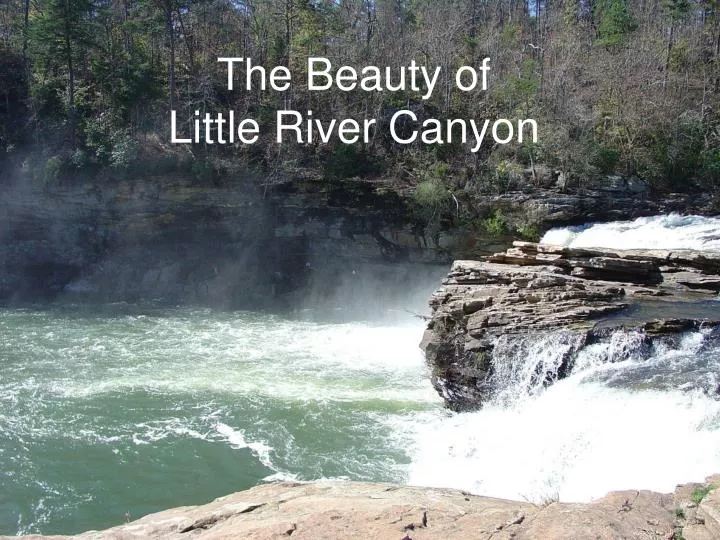the beauty of little river canyon