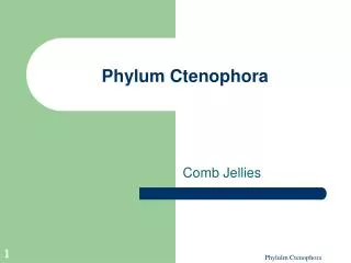 Phylum Ctenophora