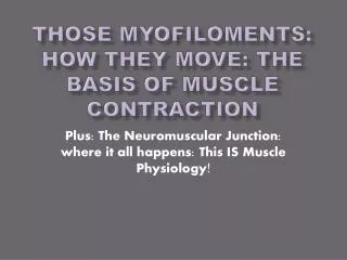 Those Myofiloments : How They Move: The Basis of Muscle Contraction