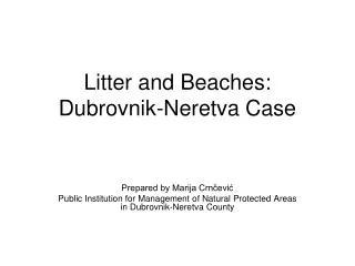 Litter and Beaches: Dubrovnik-Neretva Case