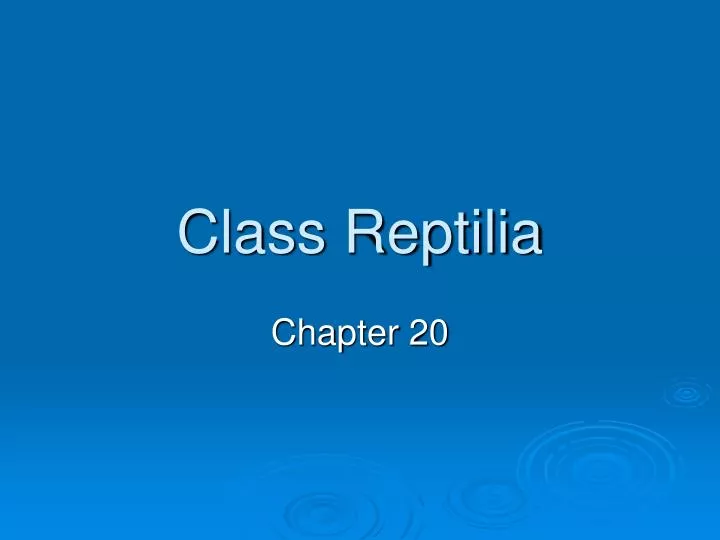 class reptilia