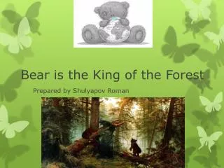 Bear is the King of the Forest