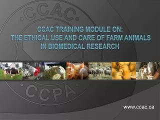 CCAC Training Module on: the Ethical Use and Care of Farm Animals in Biomedical Research