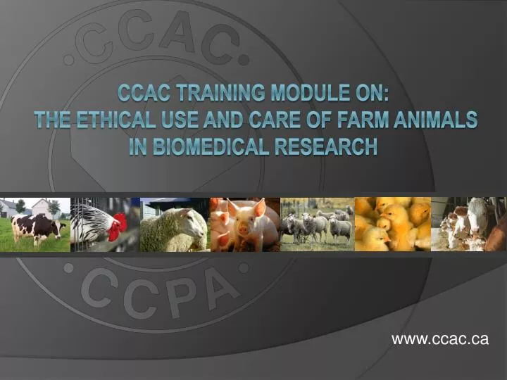 ccac training module on the ethical use and care of farm animals in biomedical research
