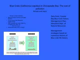 Blue Crabs ( Callinectus sapidus ) in Chesapeake Bay: The cost of pollution Renate and Joyce