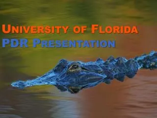 University of Florida PDR Presentation