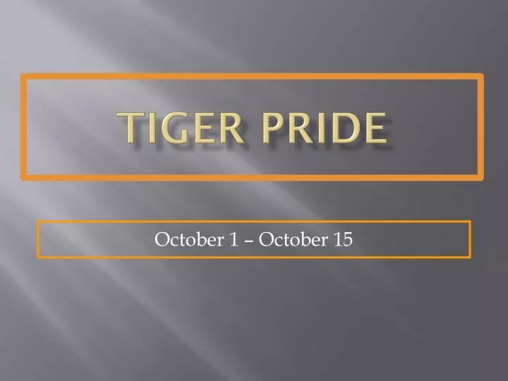 tiger pride