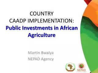 COUNTRY CAADP IMPLEMENTATION: Public Investments in African Agriculture