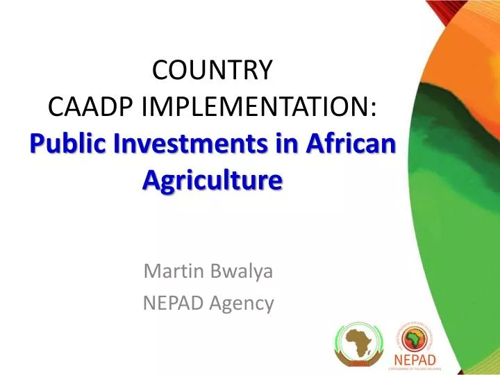 country caadp implementation public investments in african agriculture