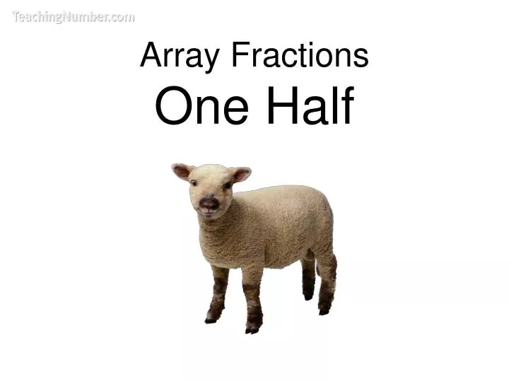 array fractions one half