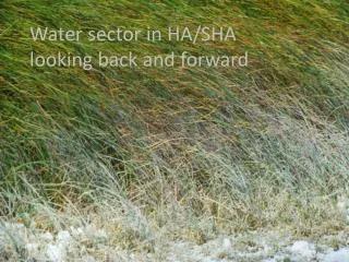 Water sector in HA/SHA looking back and forward