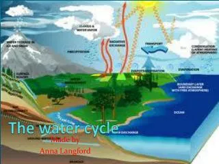 The water cycle