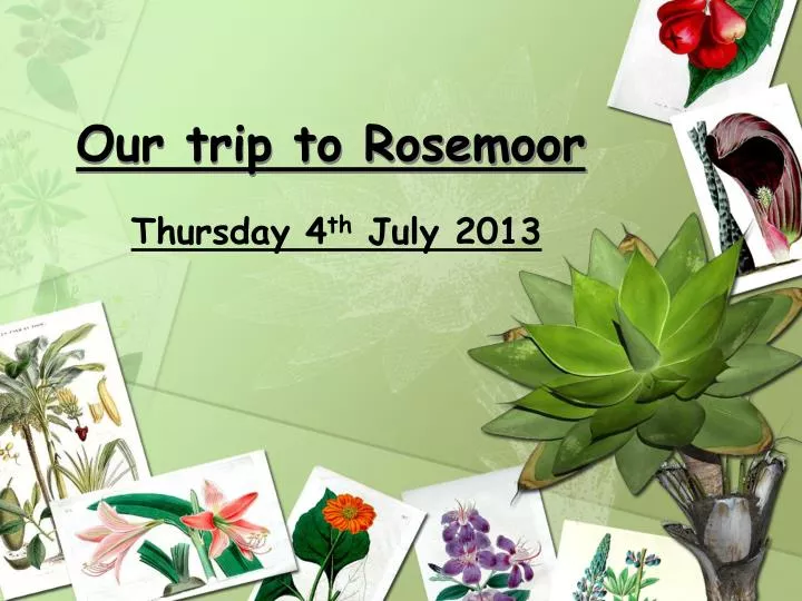 our trip to rosemoor