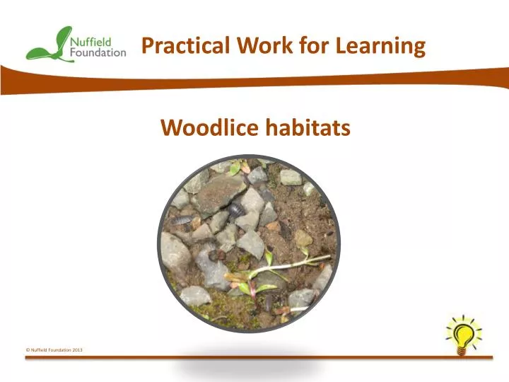 practical work for learning