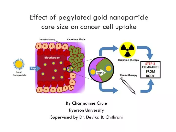effect of pegylated gold nanoparticle core size on cancer cell uptake