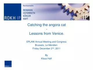 Catching the angora cat - Lessons from Venice.