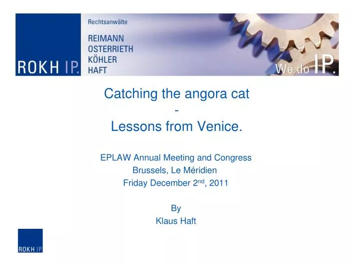 catching the angora cat lessons from venice