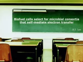 Biofuel cells select for microbial consortia that self-mediate electron transfer