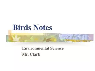 Birds Notes