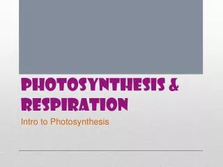 Photosynthesis &amp; respiration