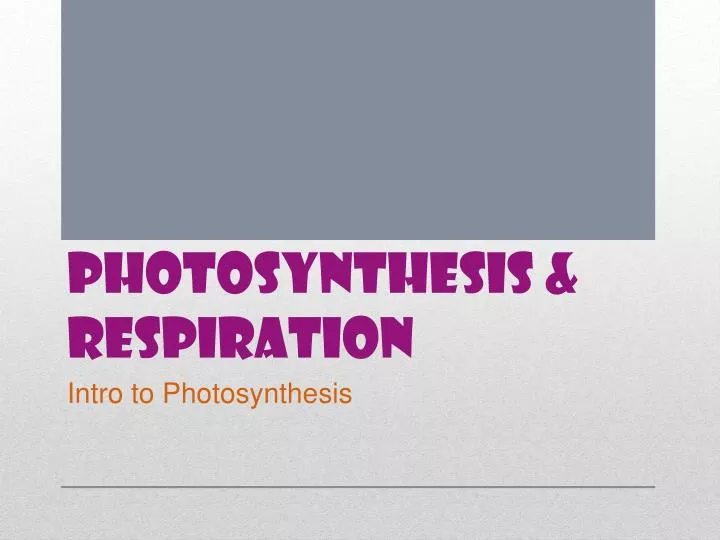 photosynthesis respiration