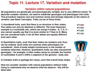 Topic 11. Lecture 17. Variation and mutation Variation within natural populations