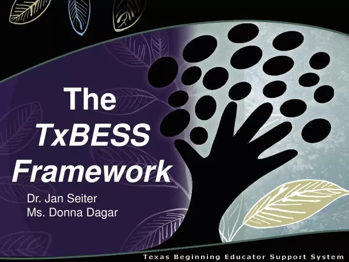 the txbess framework