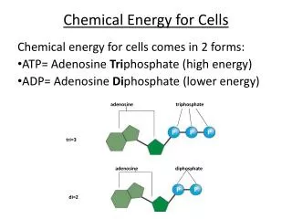 Chemical Energy for Cells