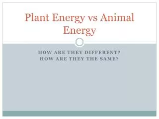 Plant Energy vs Animal Energy