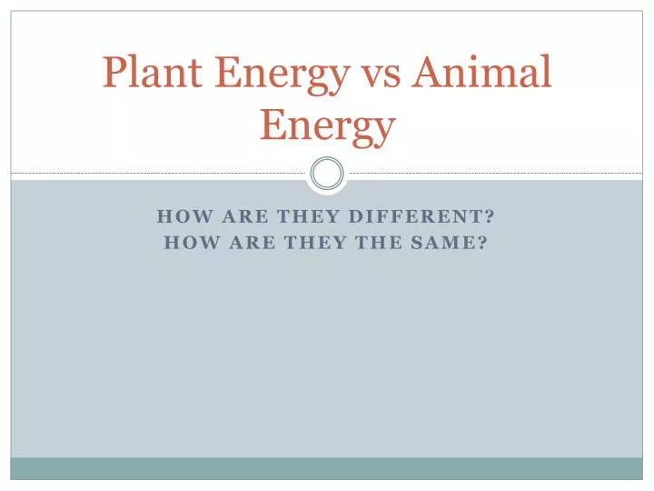 plant energy vs animal energy