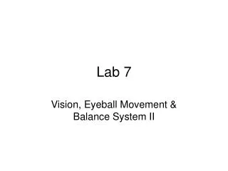 Lab 7