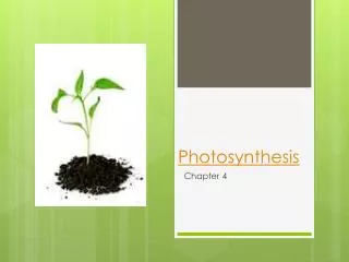 Photosynthesis