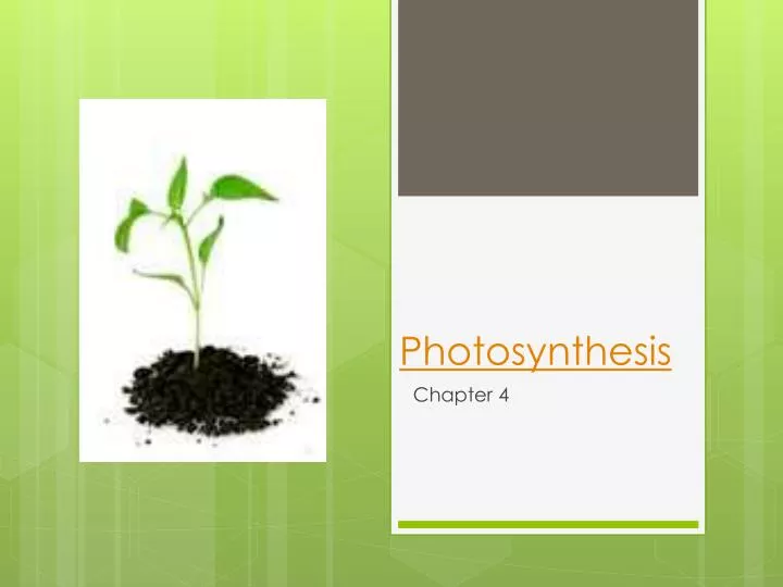 photosynthesis