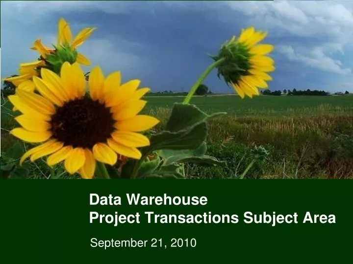 data warehouse project transactions subject area