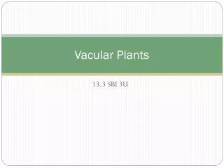 Vacular Plants