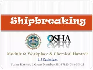 Shipbreaking
